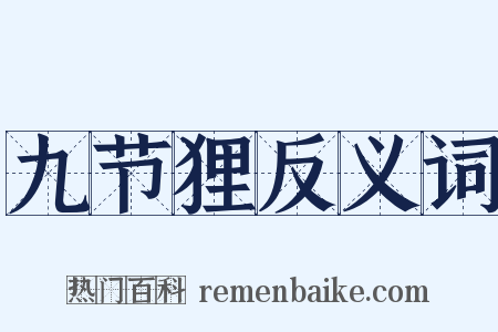 九节狸反义词是什么意思的图片